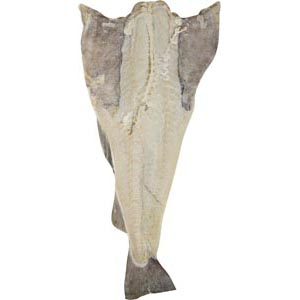 Bacalao 40/60 Colas 10-K Importacion