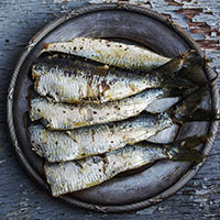 Conservas De Pescado